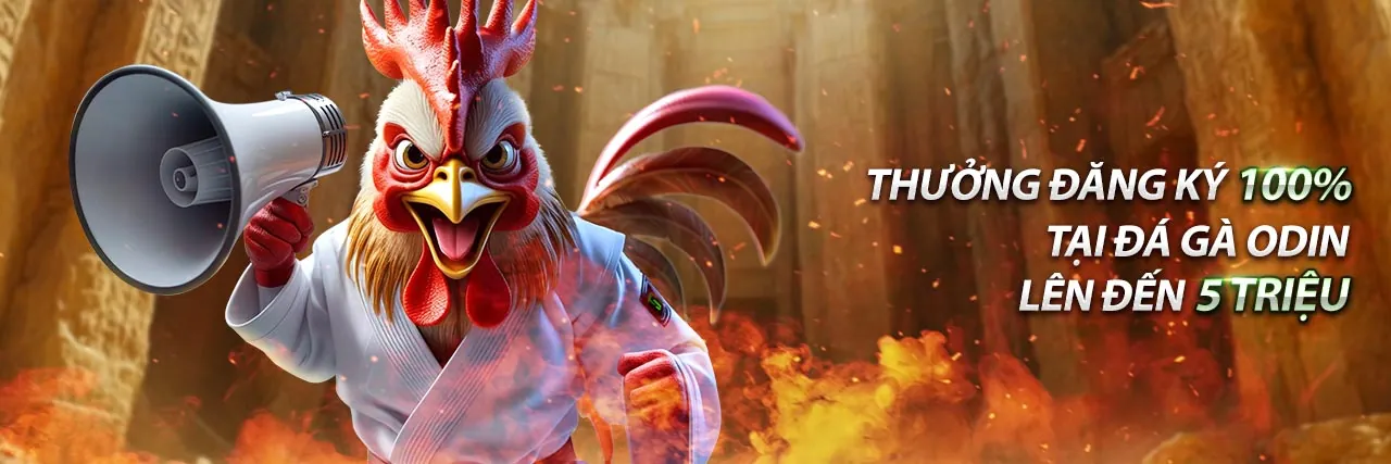 Hỗ Trợ 98win5 App